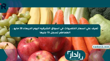 تعرف على أسعار الخضروات في أسواق الشرقية اليوم الأربعاء 28 مايو.. الطماطم تسجل 15 جنيها